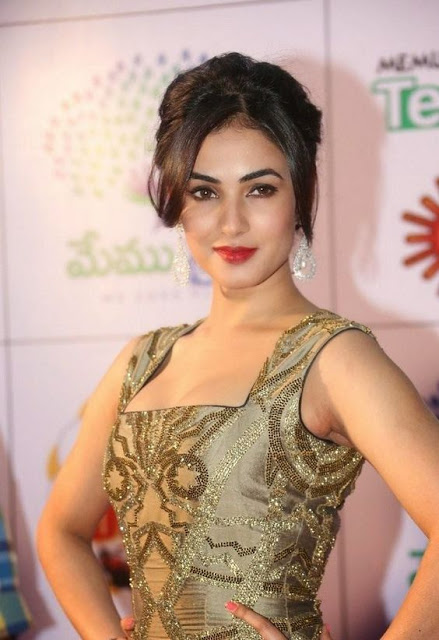 Hot Sonal Chauhan Latest Images At Event 66
