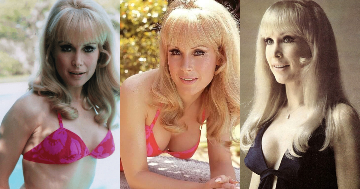 70+ Hot Pictures Of Barbara Eden From I Dream of Jeannie Are Just Too Yum For Her Fans 30