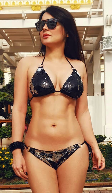Hot Desi Model Manisha Lamba Latest Bikini Pics 14