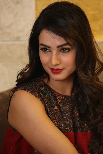 Hot Sonal Chauhan Latest Images Gallery 24