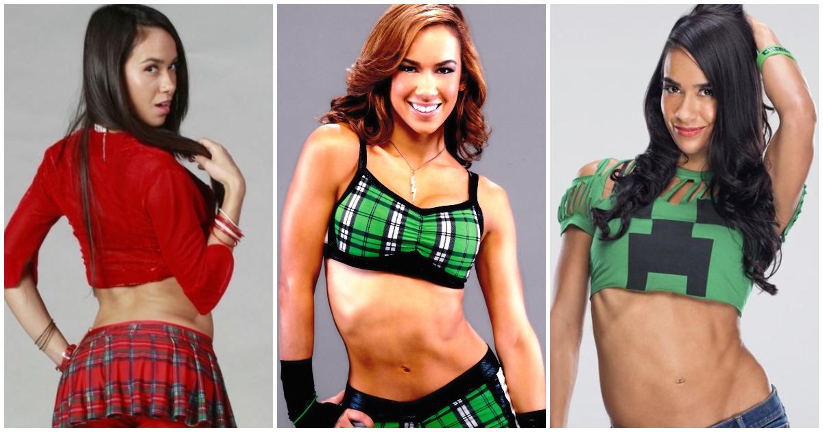 70+ Hot Pictures Of AJ Lee WWE Diva 64