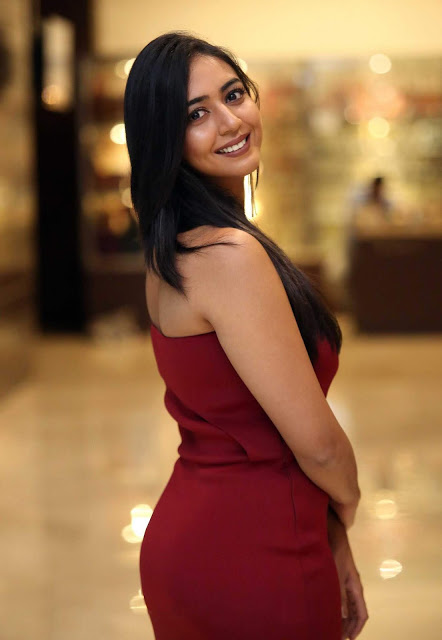Hitha Chandrashekar Beautiful South Indian Tamil Actress in Tight Red Dress 7