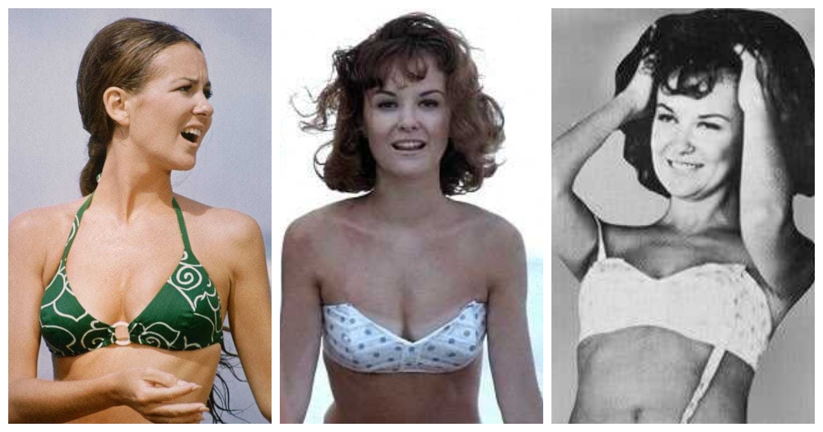 42 Shelley Fabares Nude Pictures Can Make You Submit To Her Glitzy Looks 1