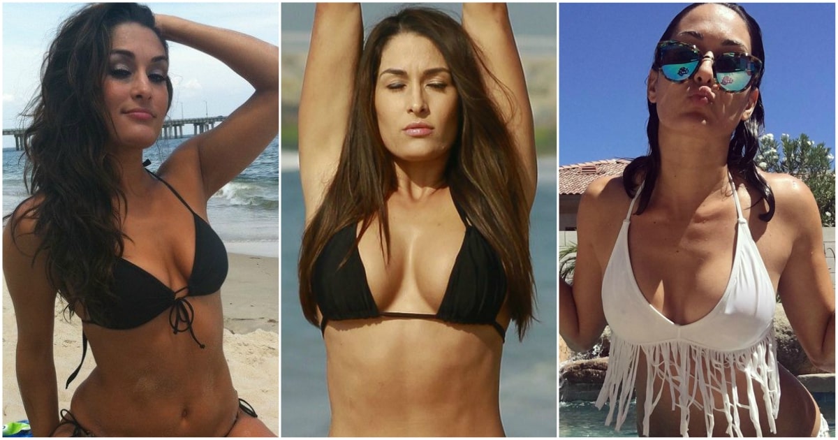 60+ Hot Pictures of Brie Bella Will Drive You Nuts For Her 1
