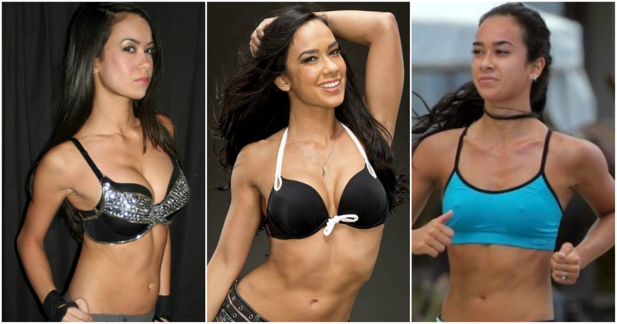 60+ Sexy AJ Lee Boobs Pictures Which Are Stunningly Ravishing 92