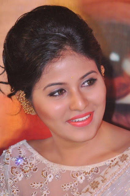 Tamil Actress Anjali New Pics In Saree 1