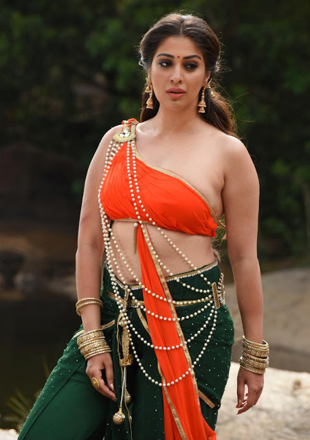 Telugu Hot Actress Laxmi Rai Latest Photoshoot Pics 27