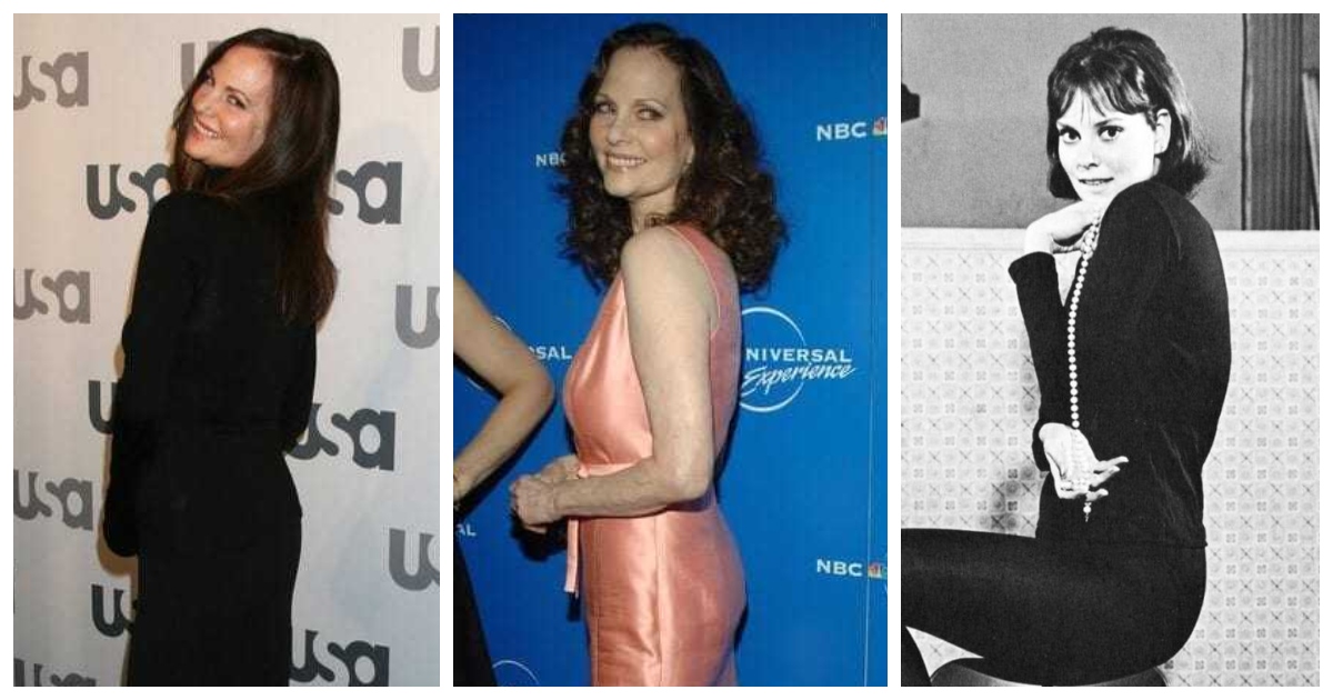 49 Hottest Lesley Ann Warren Big Butt Pictures That Will Fill Your Heart With Triumphant Satisfaction 188