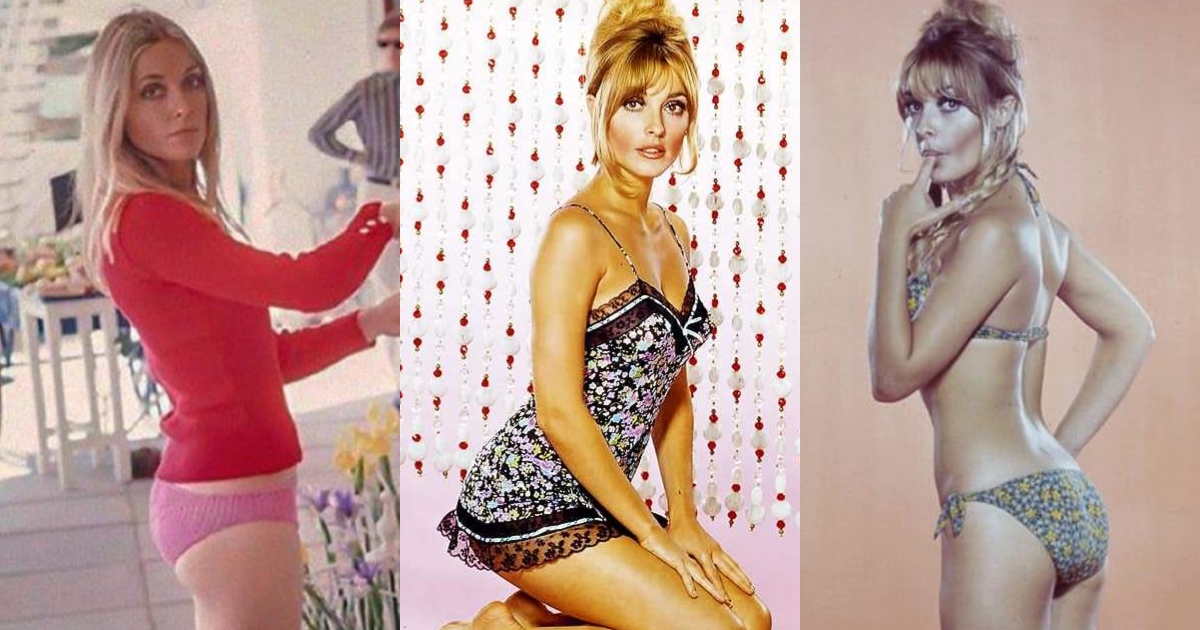 51 Hottest Sharon Tate Big Butt Pictures Are Windows Into Heaven 32