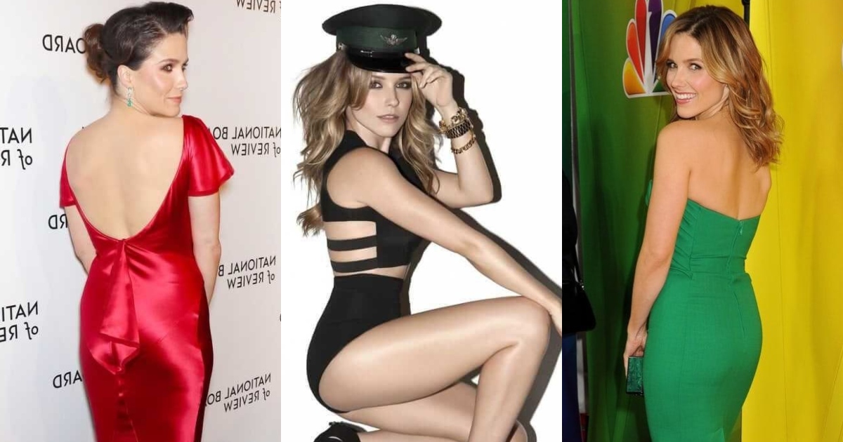 51 Hottest Sophia Bush Big Butt Pictures Are An Embodiment Of Greatness 484