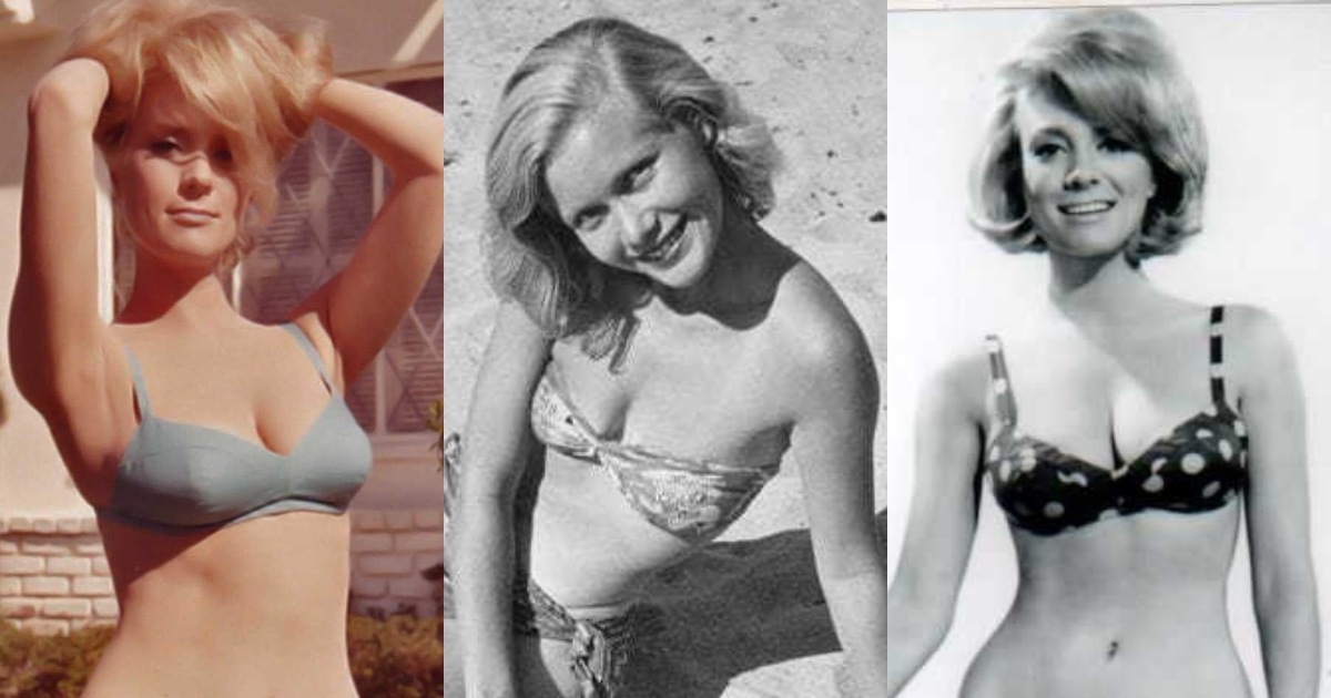 51 Sexy Inger Stevens Boobs Pictures Which Will Make You Swelter All Over 1
