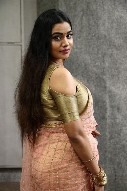 Telugu Actress Anisha Xavier In Saree 7