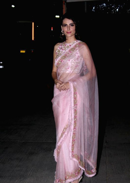 Mandana Karimi In Transparent Pink Saree 1