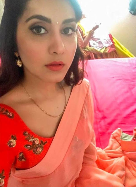 Actress Rashi Khanna In Traditional Pink Saree 1