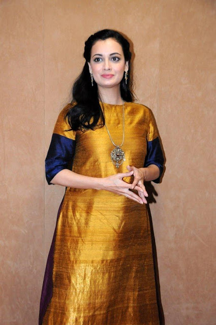 Bollywood Actress Dia Mirza Photos In Yellow Dress 44
