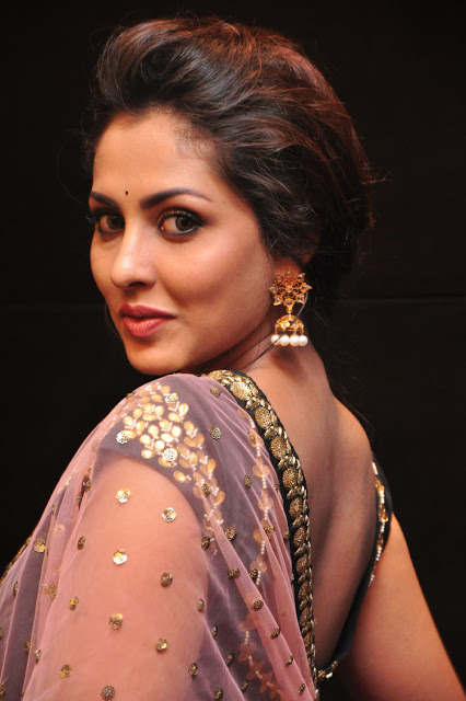 Telugu Actress Madhu Shalini Latest Pics In Pink Saree 1