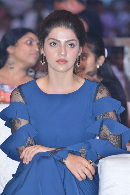 Telugu Actress Mehreen Pirzada Beautiful Images 18