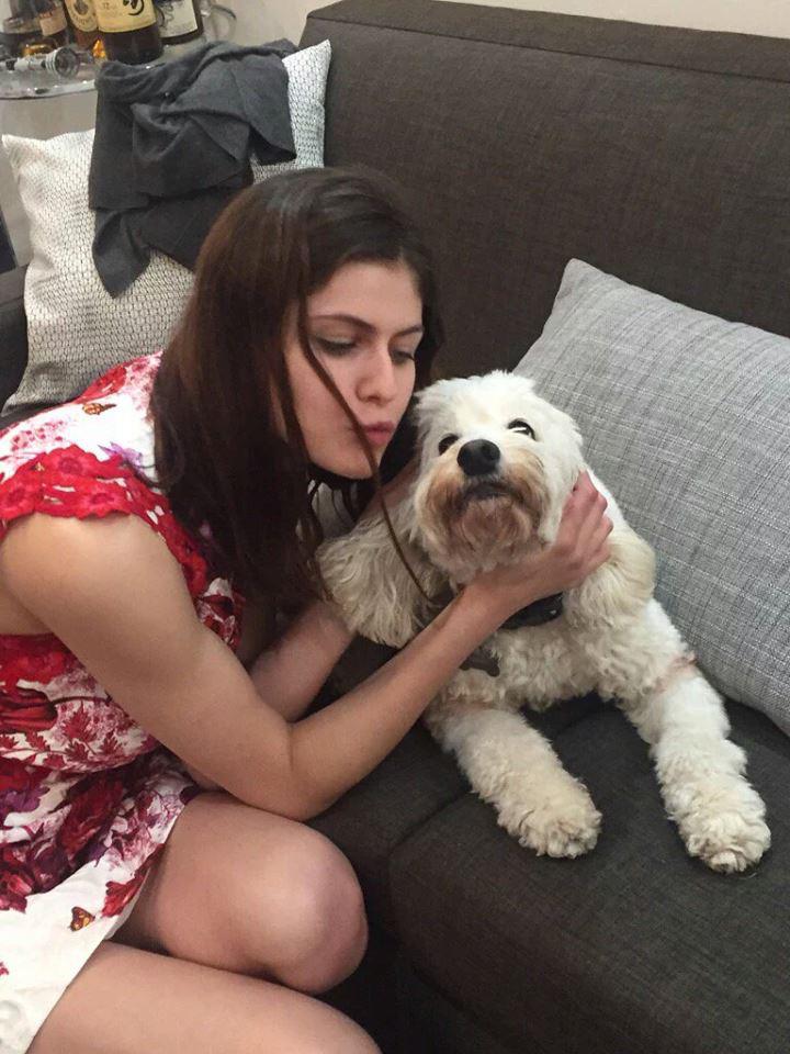 Alexandra Daddario Lucky dog Latest Pics Sexy 7