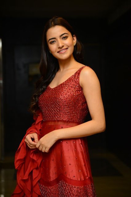 Beautiful Actress Rukshar Dhillon Cute Pics In Red Dress 1