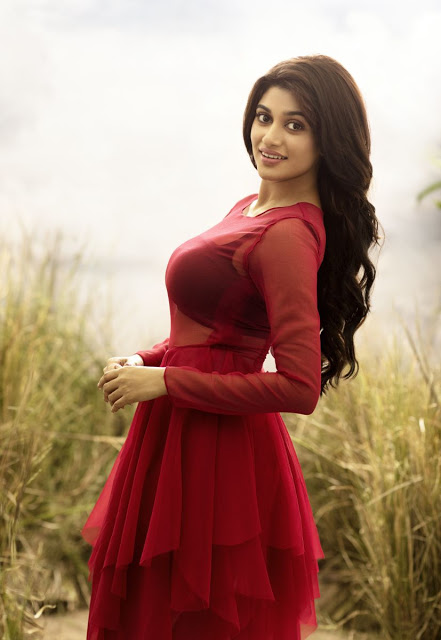 Tamil Actress Oviya Latest Hot Photoshoot Pics 13