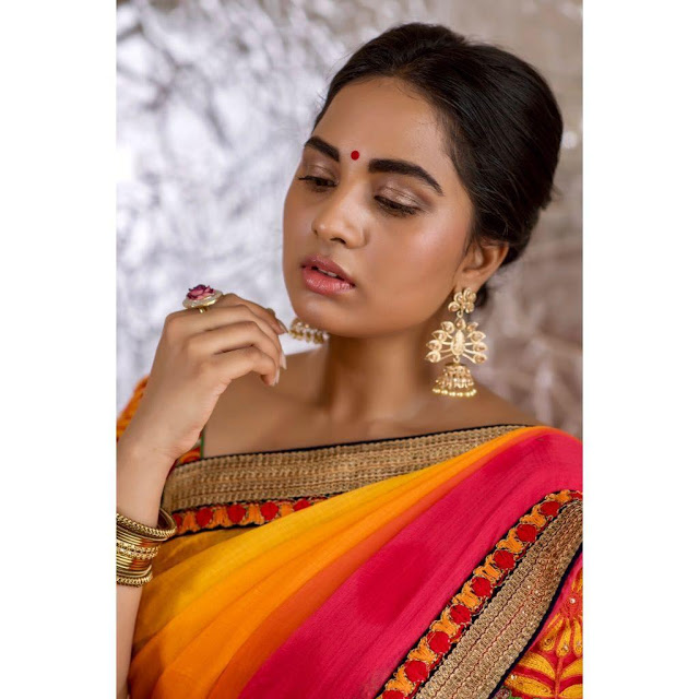 Tamil Actress Sruthi Dange Latest Photoshoot Pics In Saree 13