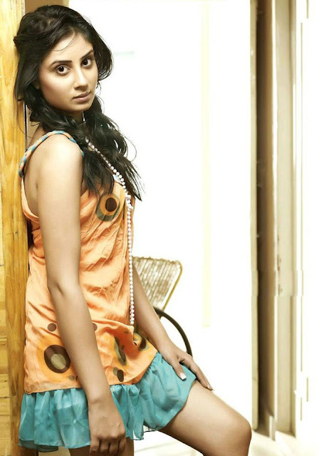 Actress Bhanu Sri Mehra Hot Image Gallery 1