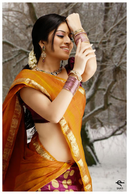 Kannada Actress Nisha Shetty Latest Pics In Saree 4