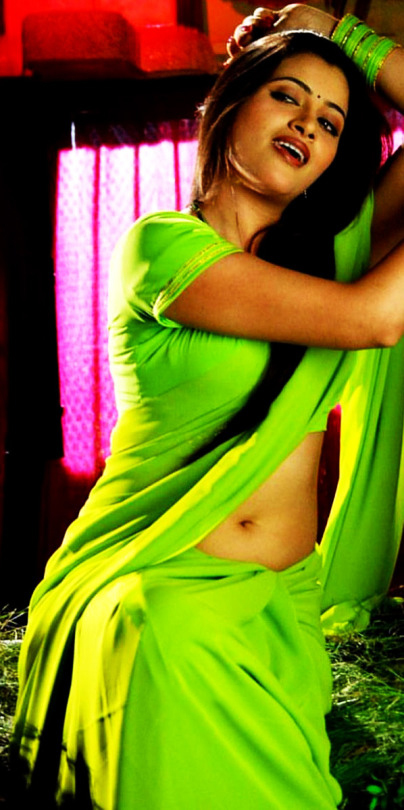 Navneet Kaur – Hot navel show in saree 3